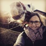 Paardenoppasoona